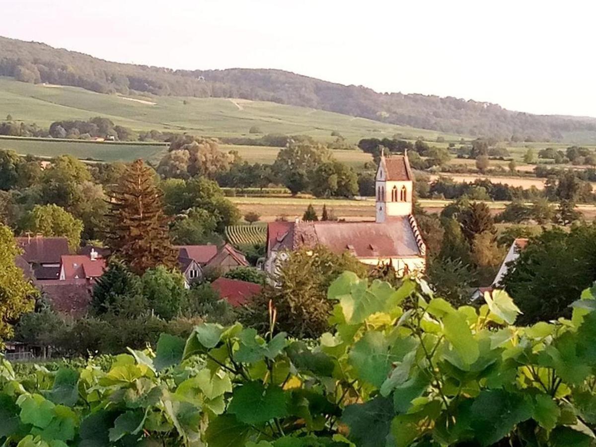 Ferienwohnung Im Gaertle Sulzburg Exterior foto